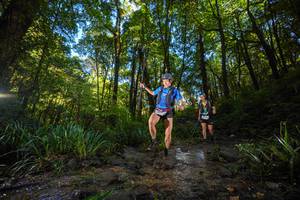 BIB: 
                            <button type="button" onclick="openModal(19229491)" class="btn btn-primary btn-sm float-right btn-popup" data-toggle="modal" data-target=".modal-high-quality">
                        <i class="fas fa-shopping-cart"></i> Add to Cart
                    </button>
                                            <button type="button" onclick="isThisMe(19229491, true)" class="btn btn-success btn-sm float-right btn-popup btn-isme hidden" data-toggle="tooltip" data-placement="bottom" title="นี่คือรูปของคุณใช่ไหม คลิกที่นี่เพื่อเอาเข้าอัลบั้ม">
                        <i class="fas fa-plus"></i> Add to album
                    </button>
                    <button type="button" onclick="isThisMe(19229491, false)" class="btn btn-warning btn-sm float-right btn-popup btn-isnotme hidden">
                        <i class="fas fa-ban"></i> Remove from album
                    </button>